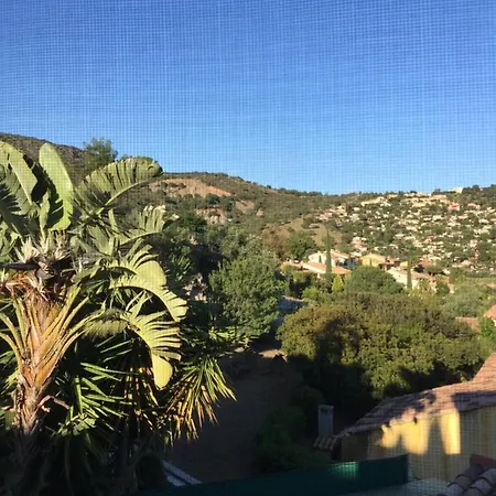 Maison Vue Mer Piscine Les Mimosas Le Lavandou Villa *